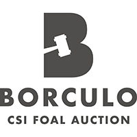 Borculo